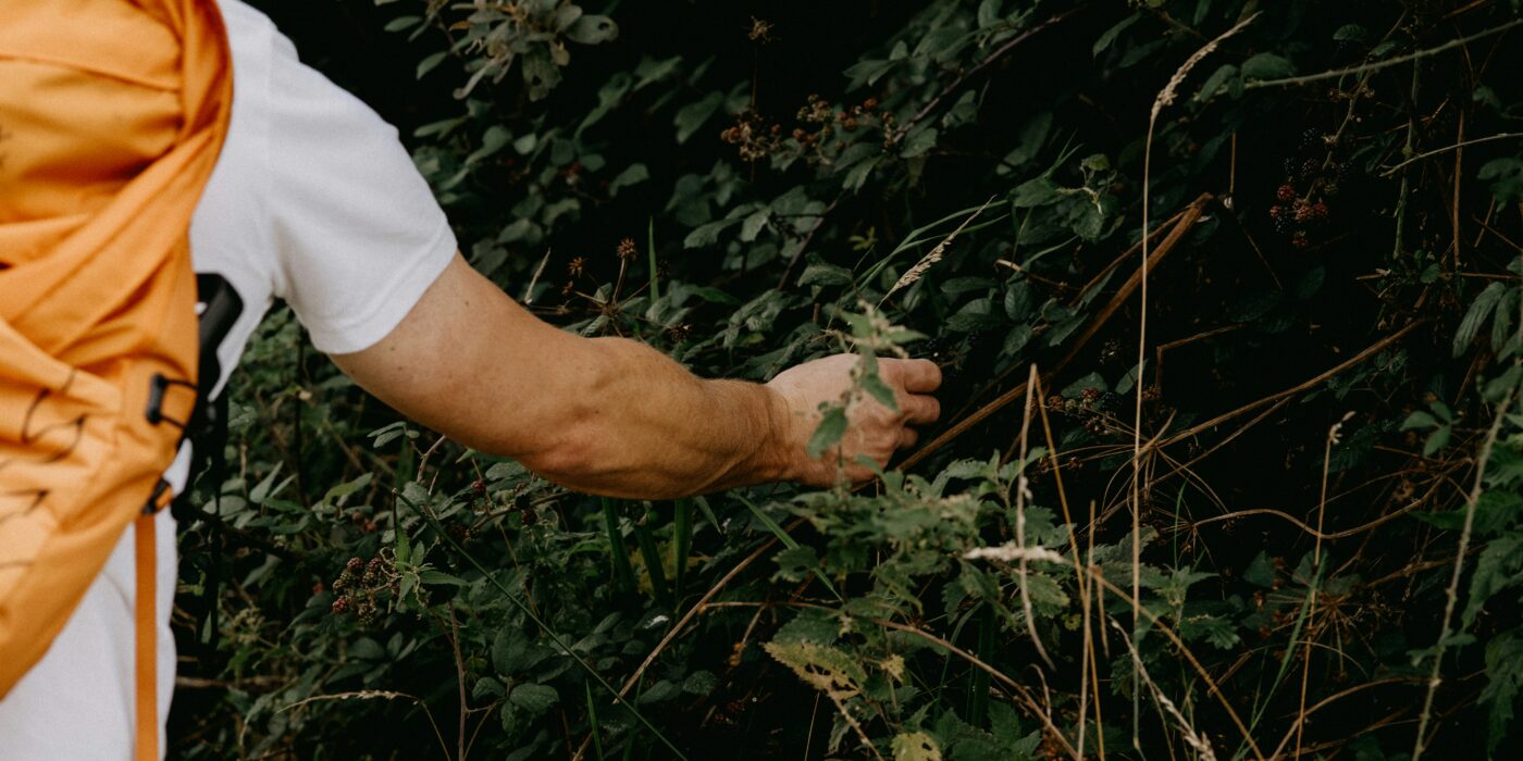 Best Bug Repellent for Hiking in 2026: Effective Protection, Skin-Safe Formulas, and Coverage That Lasts