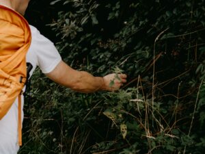 best bug repellent for hiking in 2026