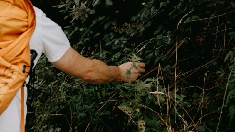 Best Bug Repellent for Hiking in 2026: Effective Protection, Skin-Safe Formulas, and Coverage That Lasts