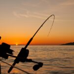 best fishing rod and reel combos for beginners in 2026