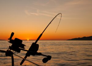 best fishing rod and reel combos for beginners in 2026