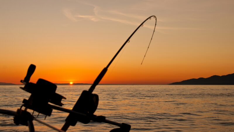 Best Fishing Rod and Reel Combos for Beginners in 2026: 5 Picks That Get You Fishing Without Confusion