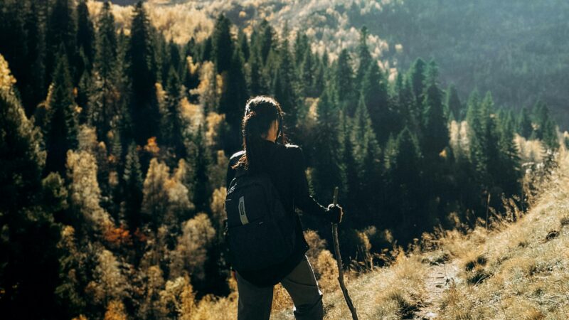 Best Hiking Poles for Women in 2026: Right Weight, Right Grip, and the Fit That Makes Trekking Poles Actually Comfortable