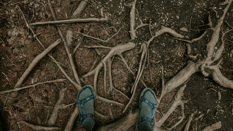 Best Hiking Sandals for Summer Trails in 2026: 5 Open-Toe Picks for Hot Weather Comfort and All-Day Trail Grip