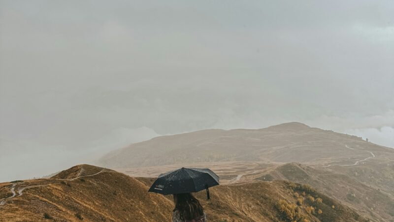 Best Hiking Umbrellas in 2026: 5 Top Picks for Sun Protection, Rain Coverage, and Ultralight Trail Use