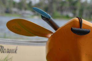 best kayak paddles for beginners in 2026
