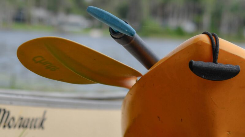 Best Kayak Paddles for Beginners in 2026: 5 Picks for Comfort, Durability, and the Right Length for Your Body