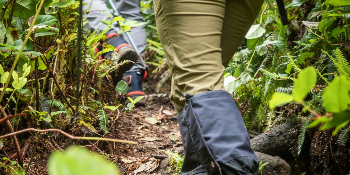 Best Waterproof Hiking Pants in 2026: 5 Trail-Tested Picks for Wet Weather Performance