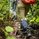 Best waterproof hiking pants in 2026