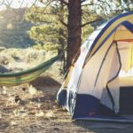 tent vs hammock which is better for your camping experience in 2026