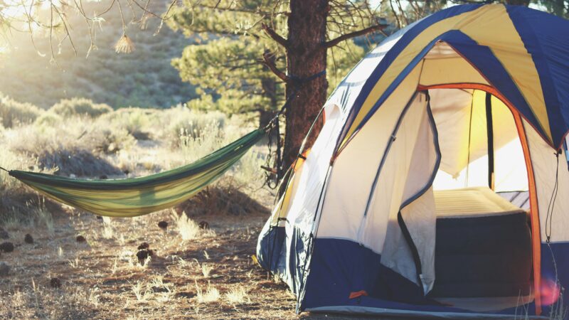 Tent vs Hammock Camping in 2026: Which Setup Is Right for Your Trail Style?