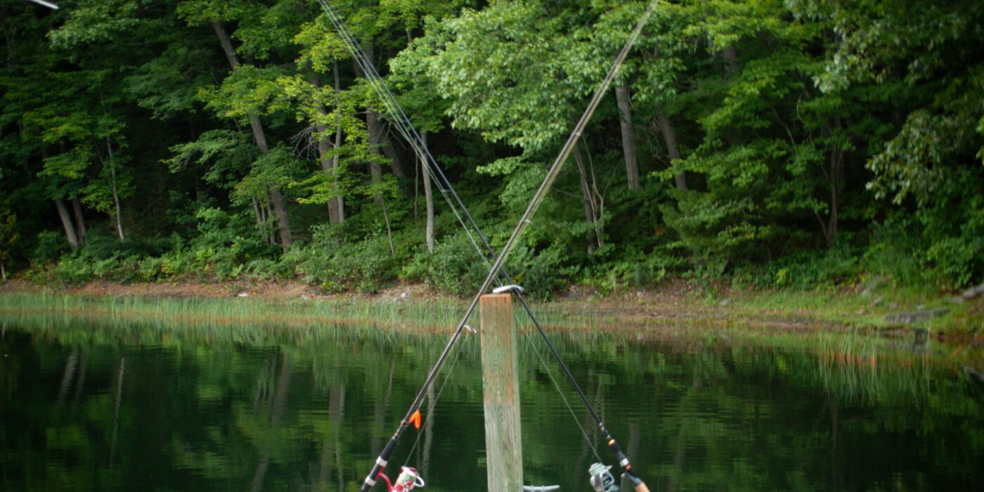 Best Baitcasting Reels for Beginners in 2026: 5 Top-Rated Picks for Casting Accuracy, Power, and Manageable Learning Curves