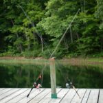best baitcasting reels for beginners in 2026