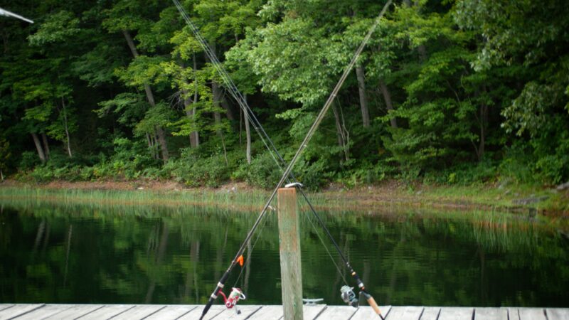 Best Baitcasting Reels for Beginners in 2026: 5 Top-Rated Picks for Casting Accuracy, Power, and Manageable Learning Curves