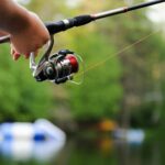 best bass fishing rods in 2026