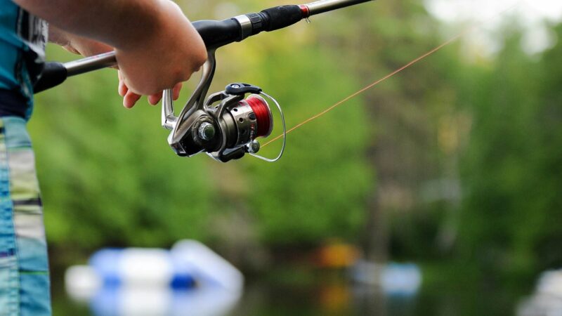 Best Bass Fishing Rods in 2026: 5 Top-Rated Picks for Every Budget
