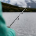 best catfish rods and reels in 2026