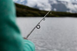 best catfish rods and reels in 2026