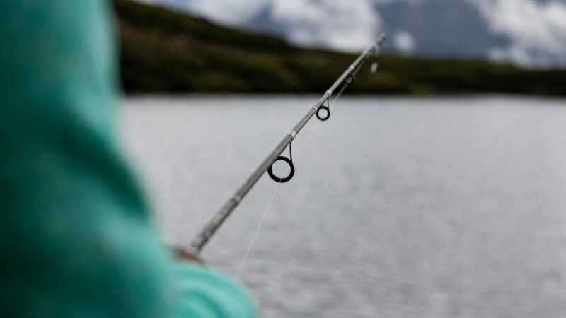 Best Catfish Rods and Reels in 2026: 5 Picks With the Backbone for Hard-Fighting Cats