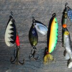 best fishing lures for bass in 2026