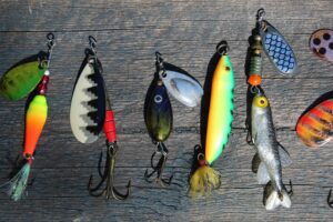 best fishing lures for bass in 2026