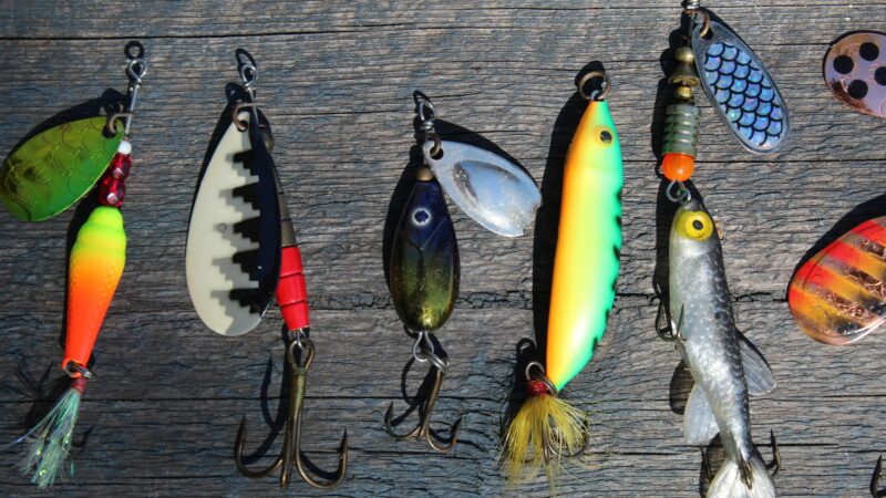 Best Fishing Lures for Bass in 2026: 5 Top-Rated Picks for Topwater, Jerkbaits, and Year-Round Bass Fishing