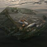 best fishing nets and landing nets in 2026