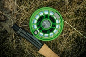 best fly fishing rods for beginners in 2026