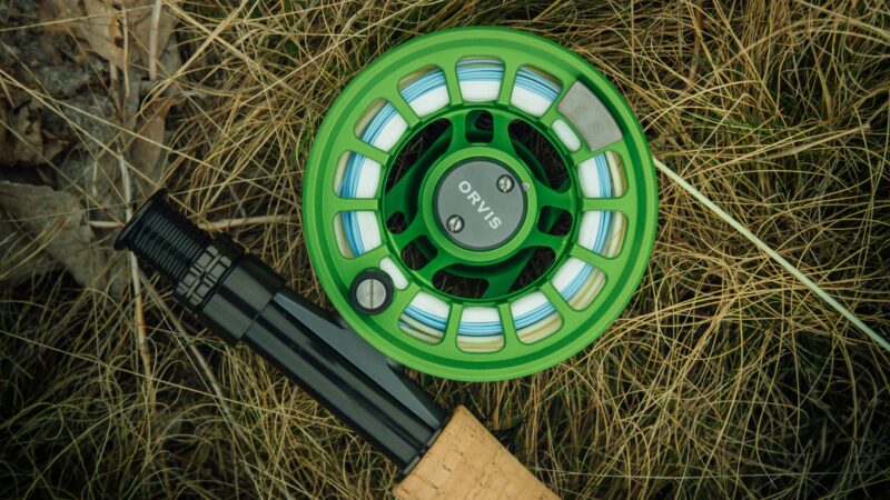 Best Fly Fishing Rods for Beginners in 2026: 5 Top-Rated Rods to Start Casting With Confidence