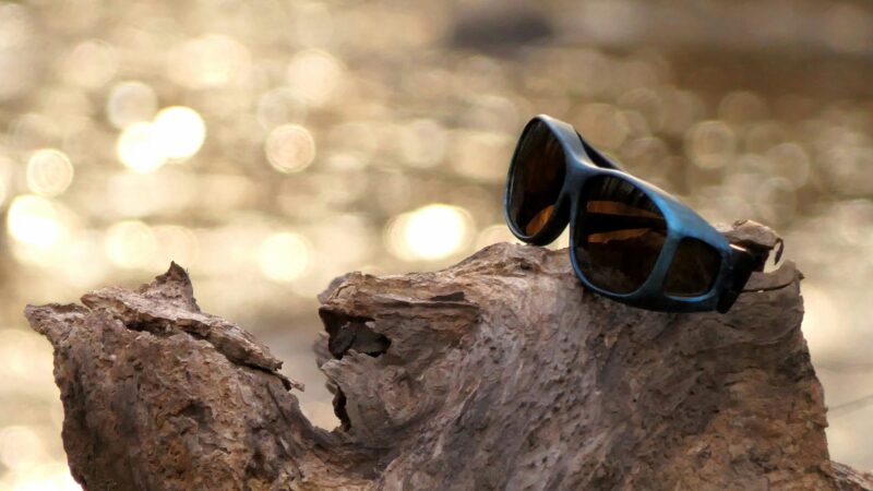 Best Polarized Fishing Sunglasses in 2026: 5 Top-Rated Picks for Sight Fishing, Glare Reduction, and All-Day Comfort