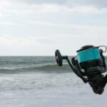 best saltwater spinning reels in 2026