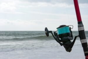 best saltwater spinning reels in 2026