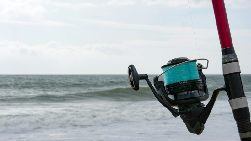 Best Saltwater Spinning Reels in 2026: 5 Picks That Charter Captains Actually Trust