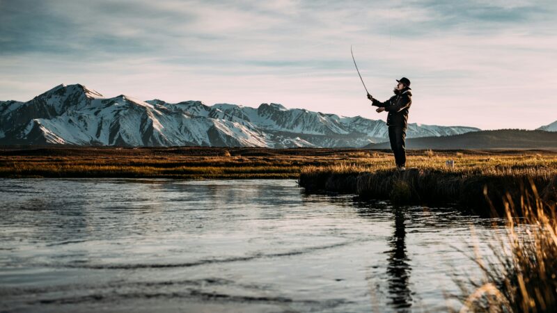 The Angler’s Third Eye: Finding the Invisible Comfort Zones Where Fish Hide
