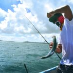 Timing the Bite: Exactly When Fish Bite Most (And Why)