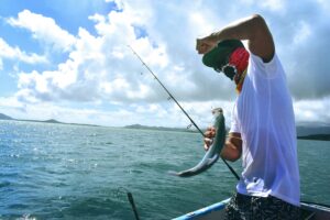 when fish bite the most
