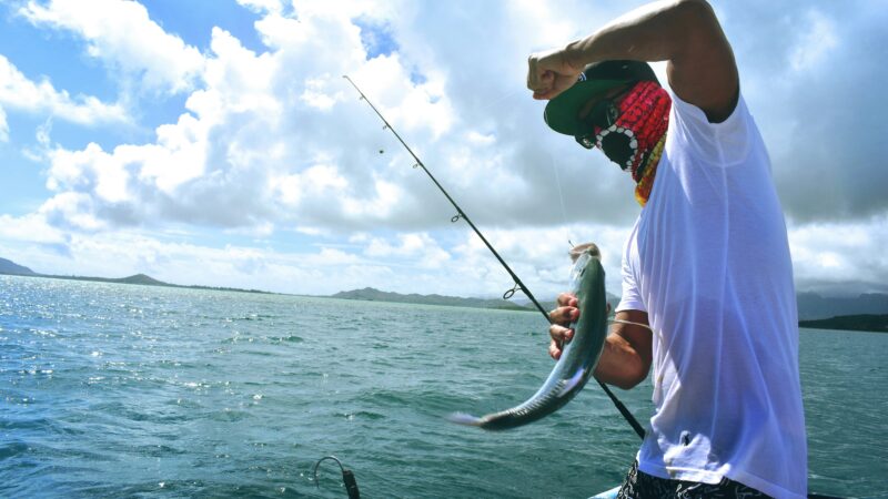 Timing the Bite: Exactly When Fish Bite Most (And Why)