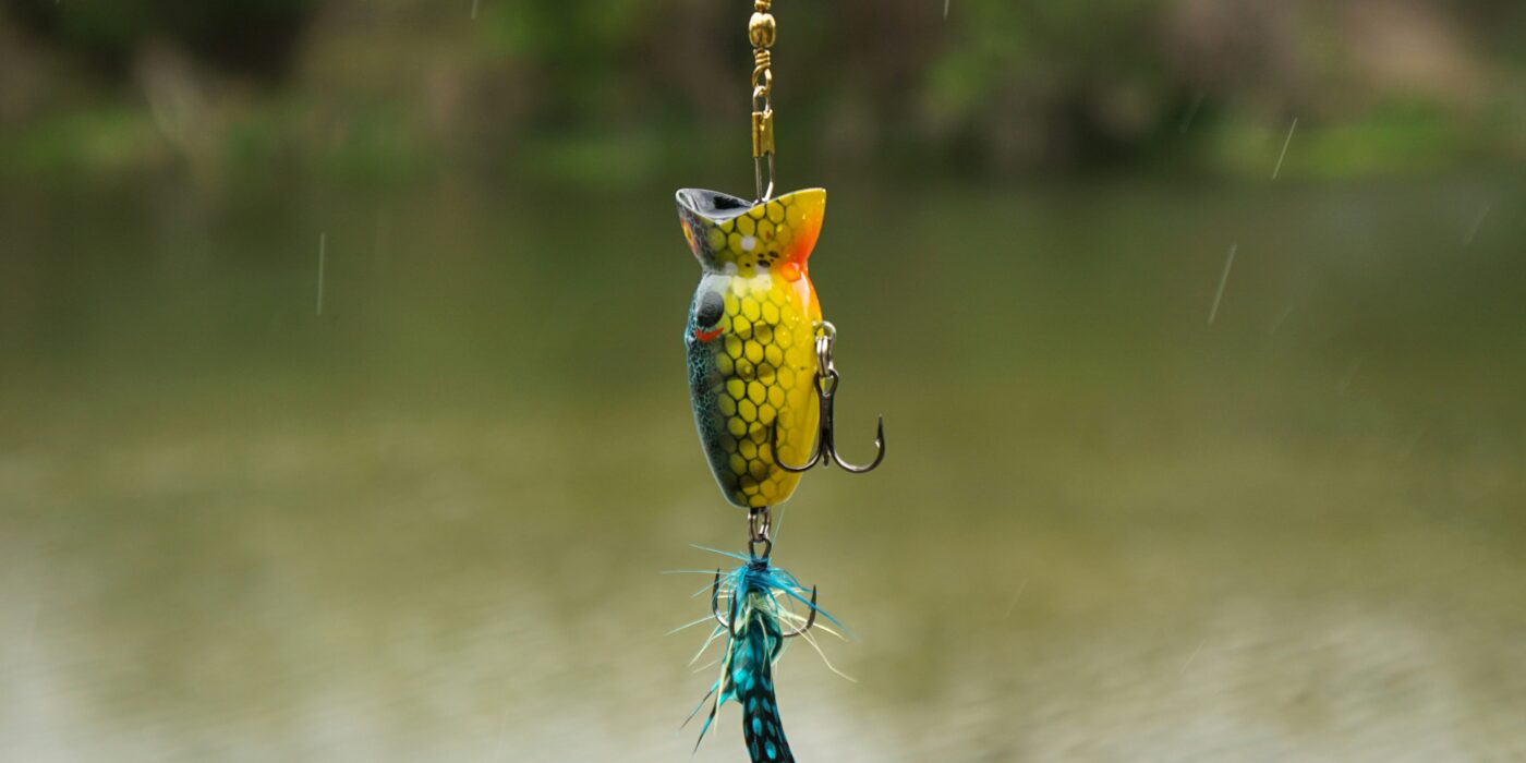 How to Save a Slow Day: Why Fish Aren’t Biting