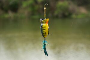 why fish arent biting