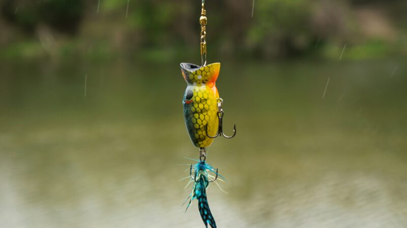 How to Save a Slow Day: Why Fish Aren’t Biting
