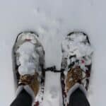 Snowshoes vs Microspikes in 2026: Which One Your Winter Trail Actually Needs