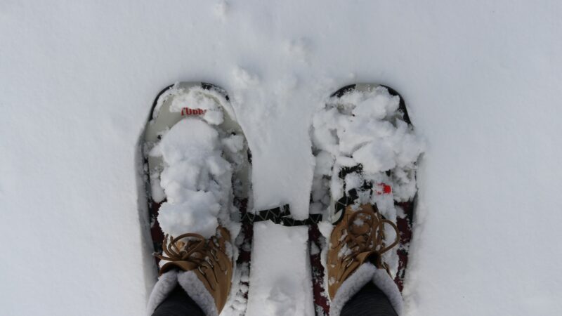 Snowshoes vs Microspikes in 2026: Which One Your Winter Trail Actually Needs